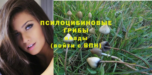 дурь Новодвинск