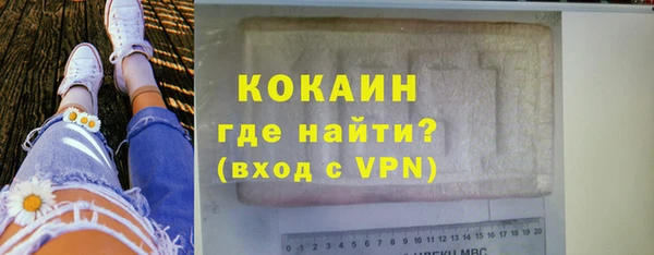 дурь Новодвинск