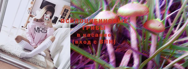 a pvp Няндома
